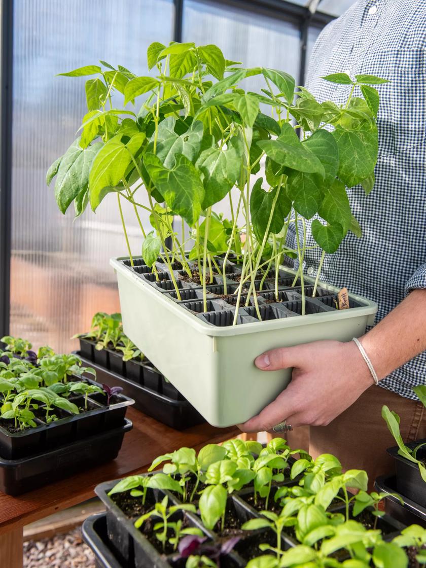  Humidity Tray Indoor Plant Stand Growing Tray for