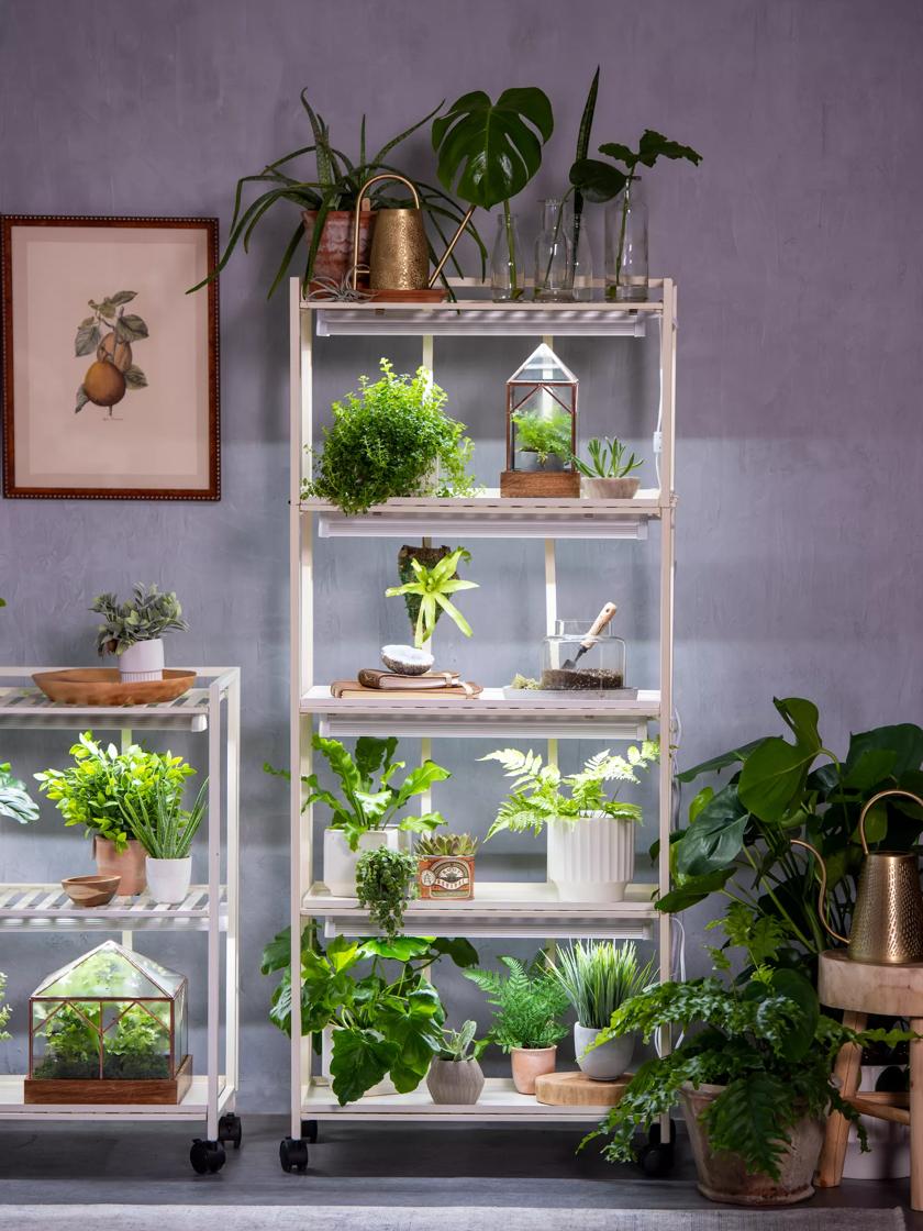 Oslo grow lights new arrivals