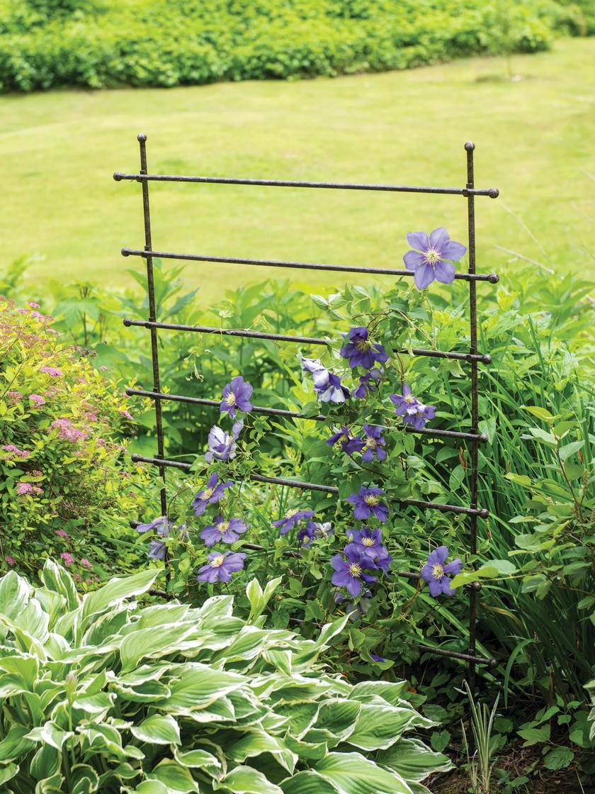 Jardin Pot Trellis