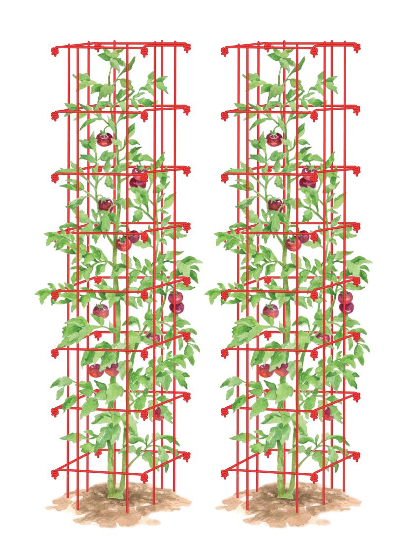 Tomato Towers - Tall Tomato Cages  Orders $125+ Ship Free 