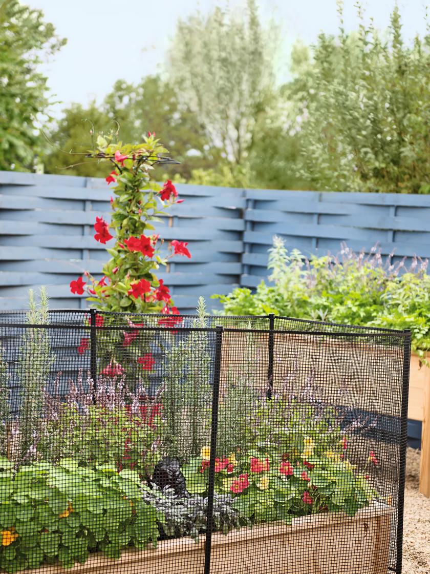 Uses for Plastic Coated Wire Fencing in Your Garden