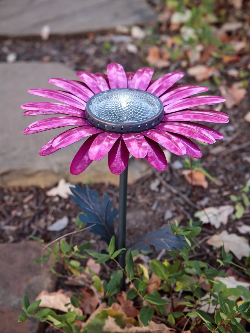 Desert Steel Daisy Solar Light