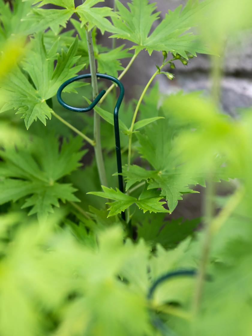 tall stack stem