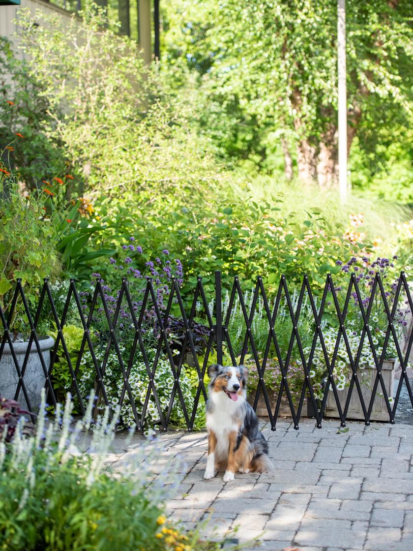 Rolling cat clearance fence