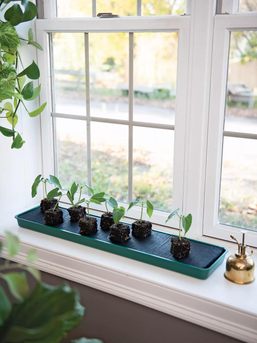 Self-Watering Windowsill Tray