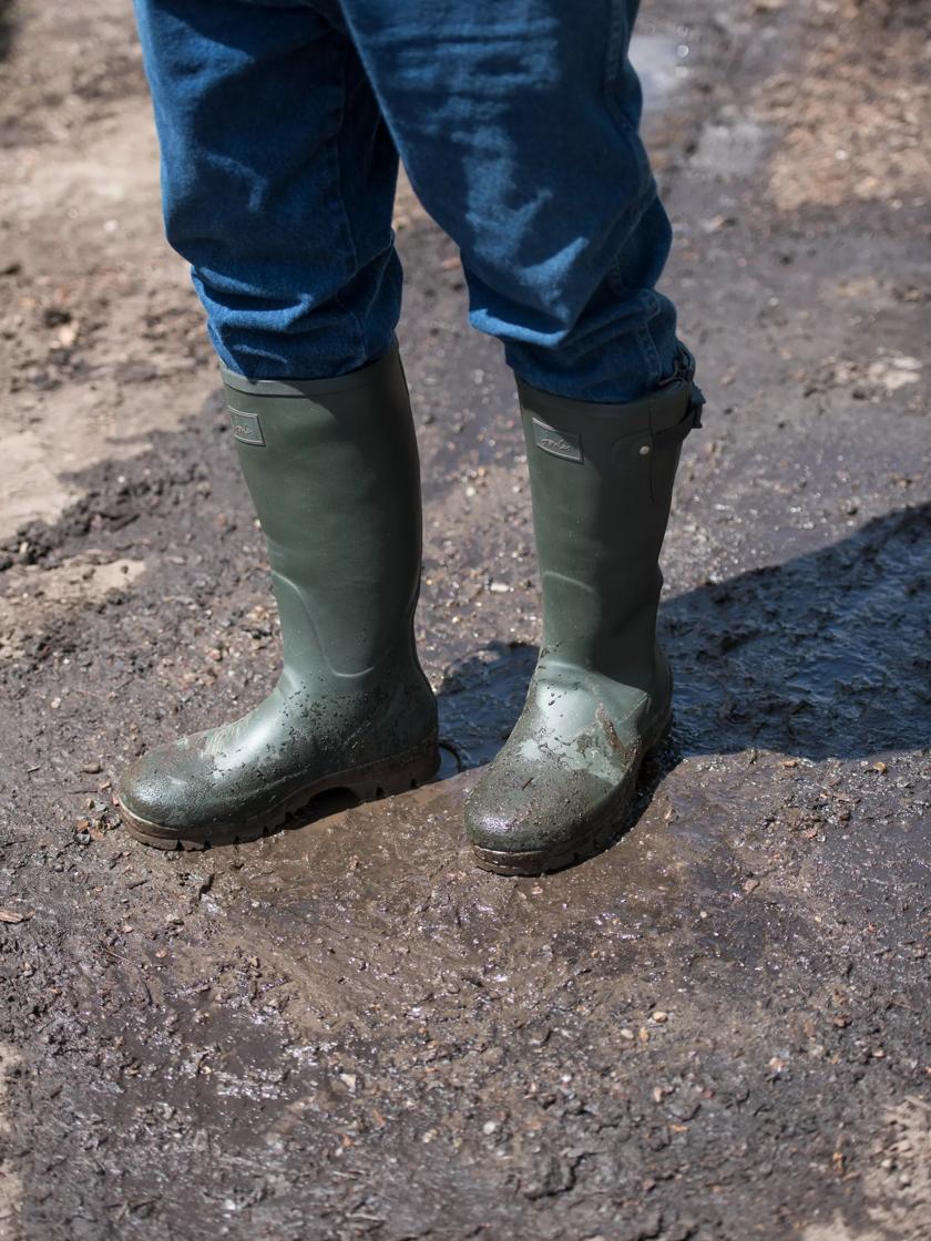 Joules deals mens wellies