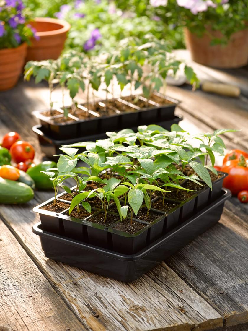 9 Cell Recyclable Grey Plastic Plant Tray