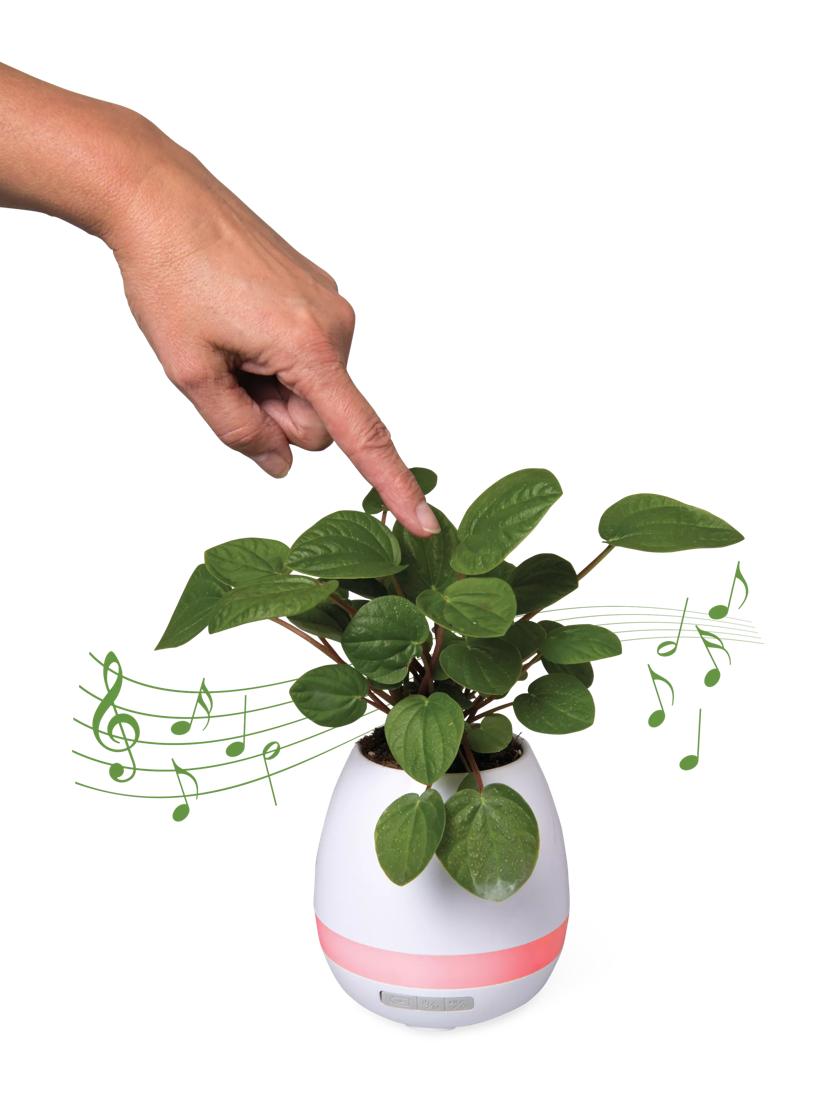 Plant hot sale pot speaker