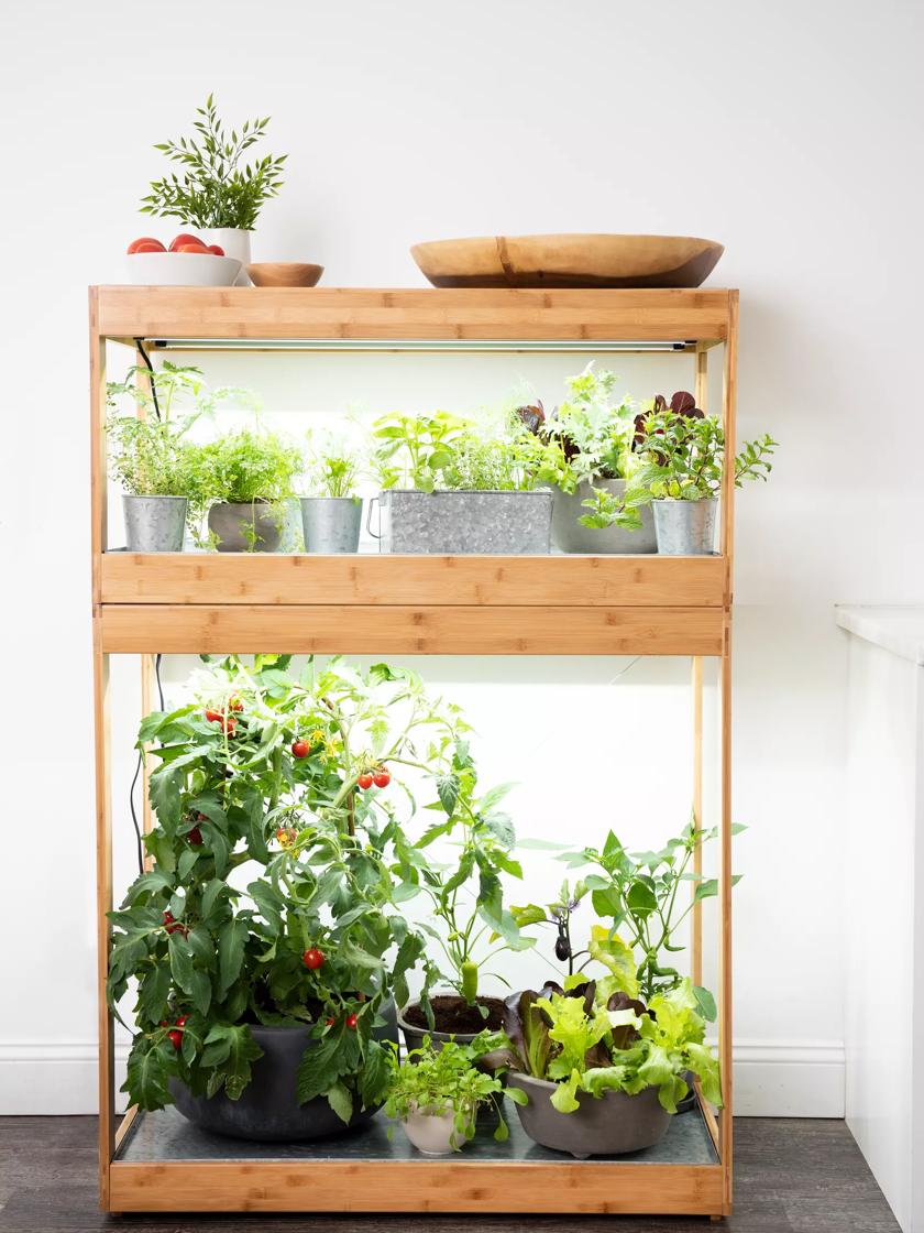 indoor herb garden light