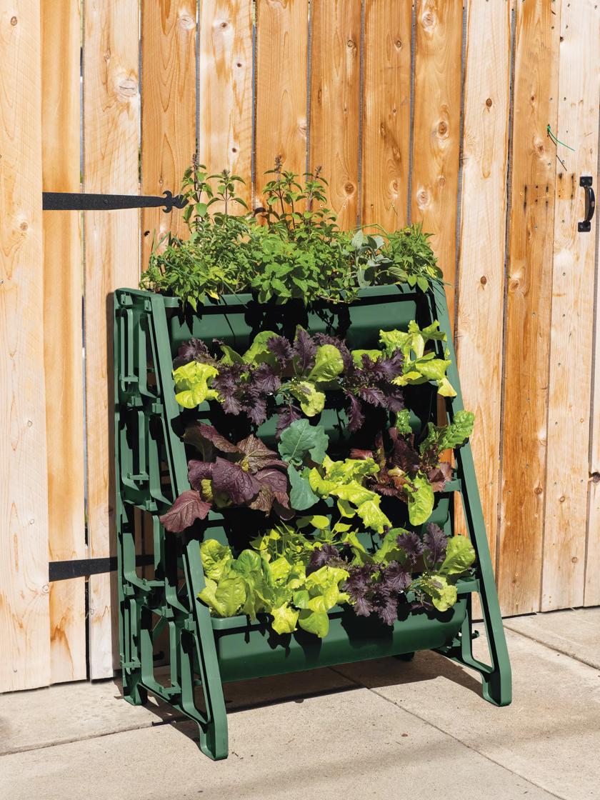 Vertical Garden Planter Wall - Spruc*d Market