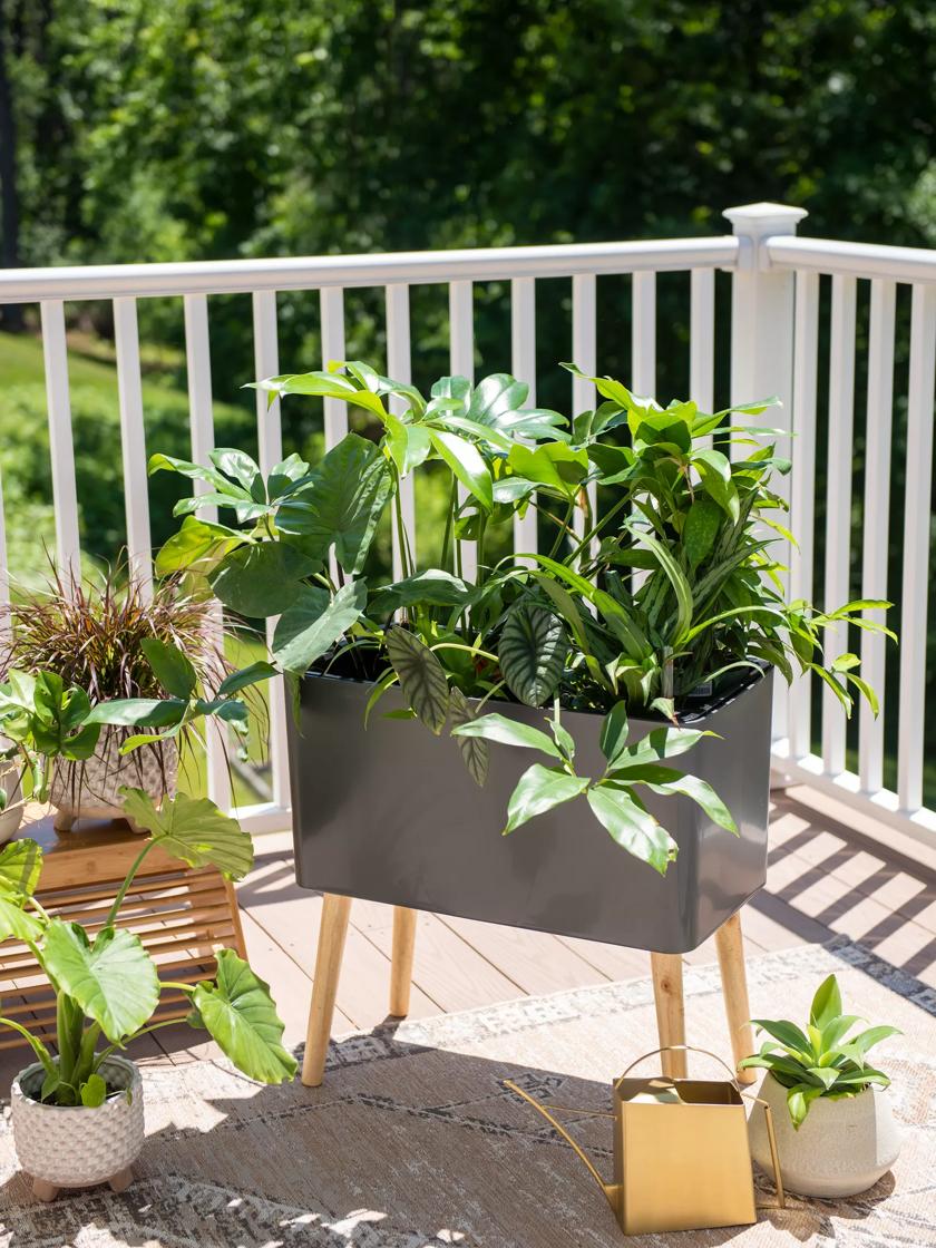 Kitchen Sink Shelf Planter, Indoor Planter, Over the Sink, Space Saver, Herb Garden, Housewar…