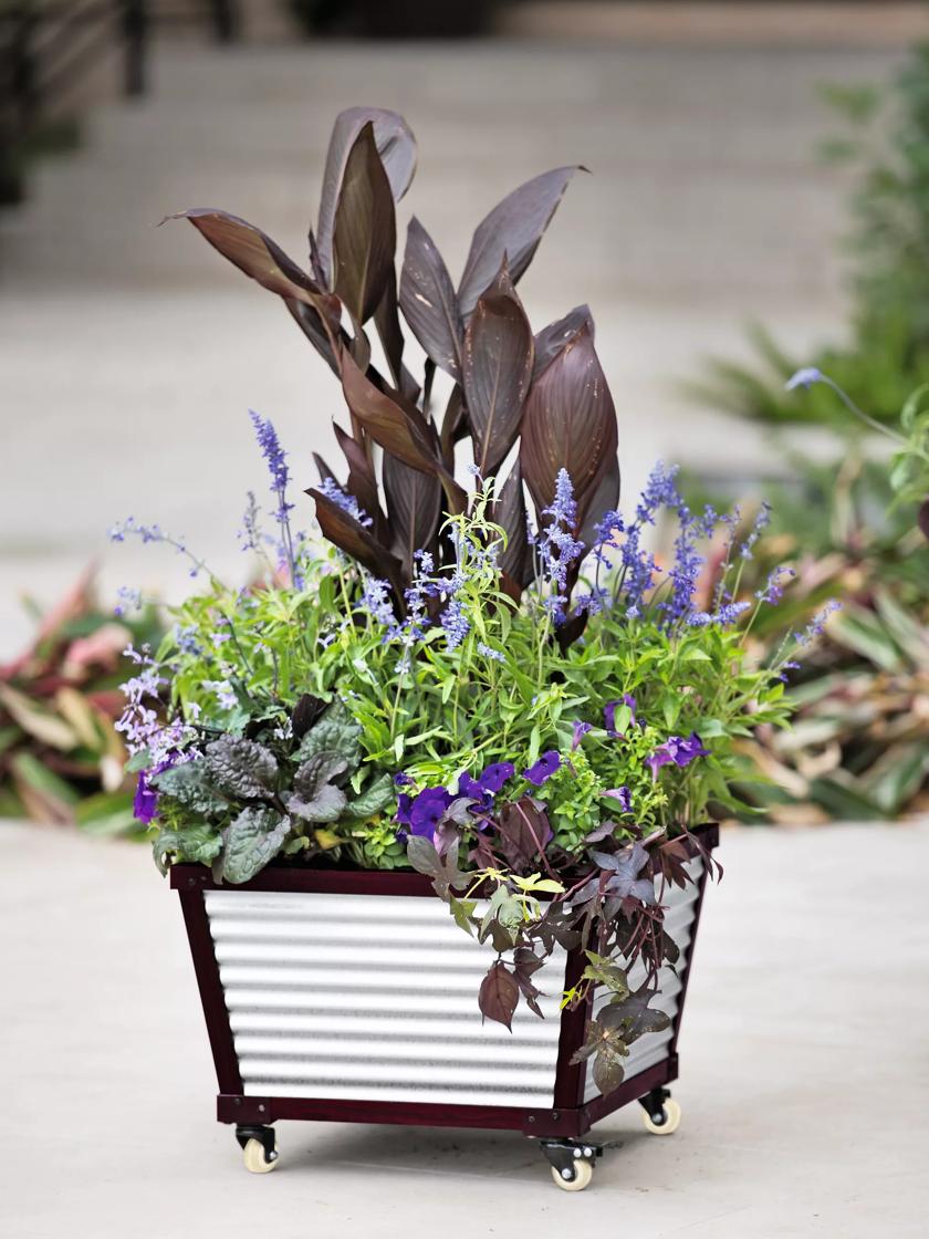 Galvanized Self-Watering Planters