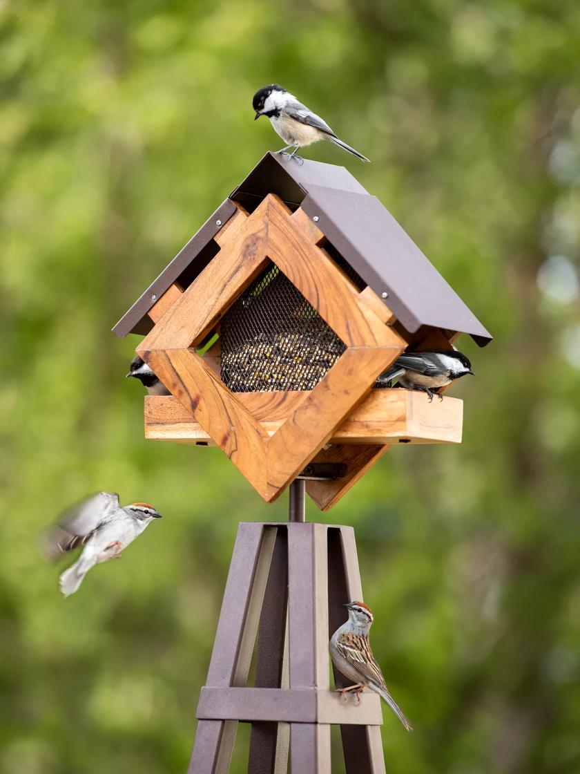 Diamond Bird Feeder Obelisk