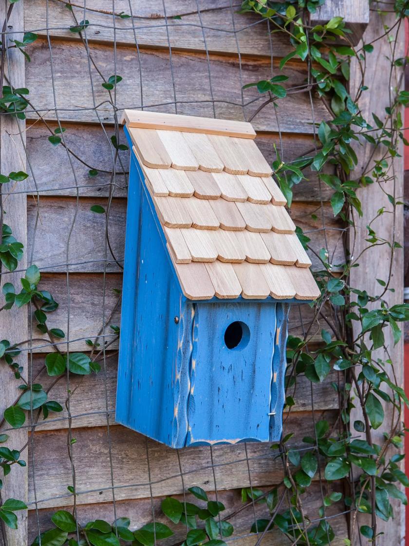 Bluebird birdhouse store