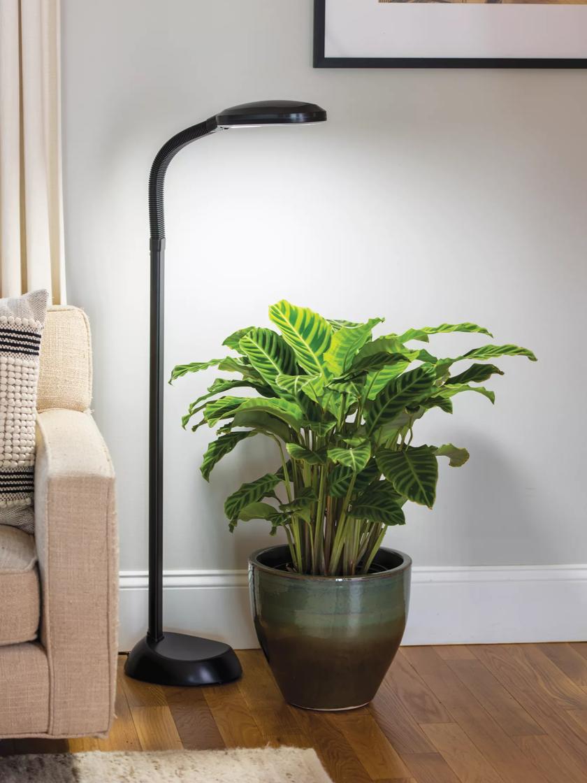 Floor lamp on sale plant stand