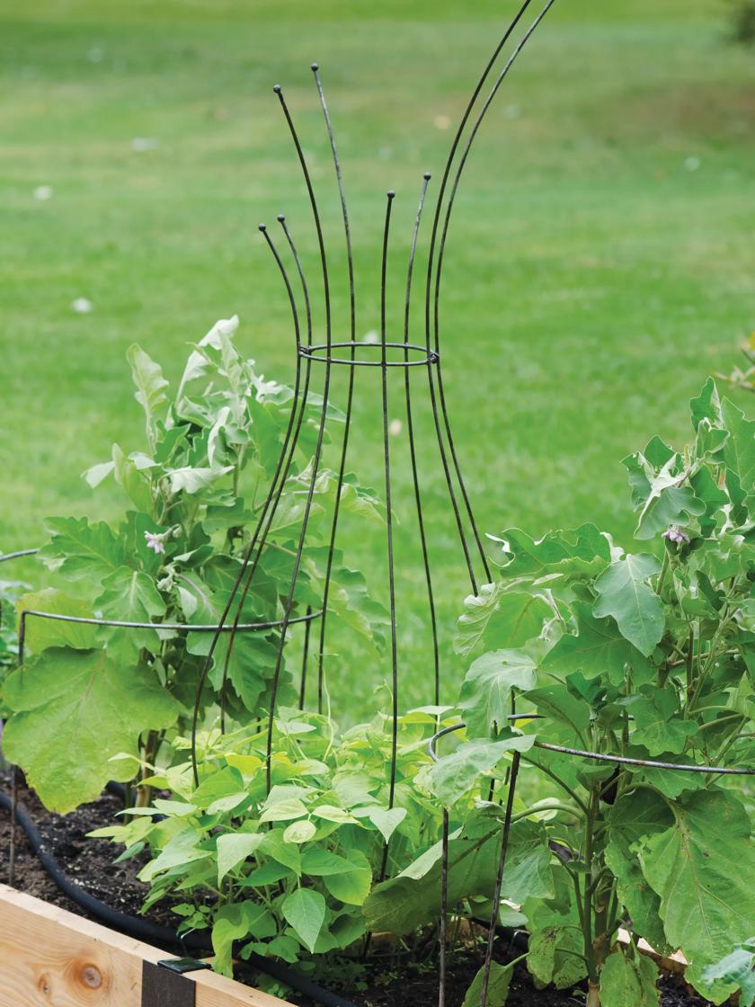 Jardin Pot Trellis