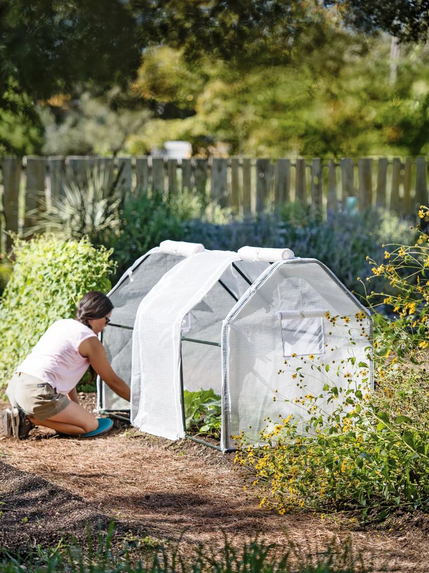 Tent for the outlet garden