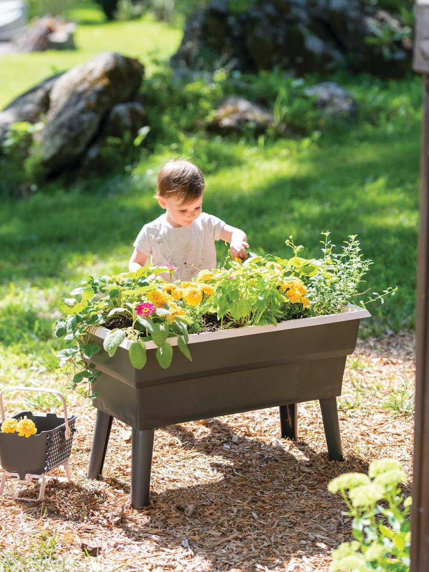 Calipso 3-in-1 Kids Gardening Self-Watering Planter Kit