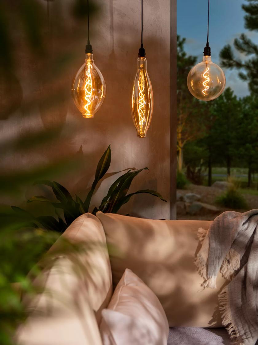 https://assets.gardeners.com/transform/PDP_Main/bae97868-6277-4439-8d79-d2857b0bf951/8613229_07038_retro-essence-vintage-led-light-bulbs