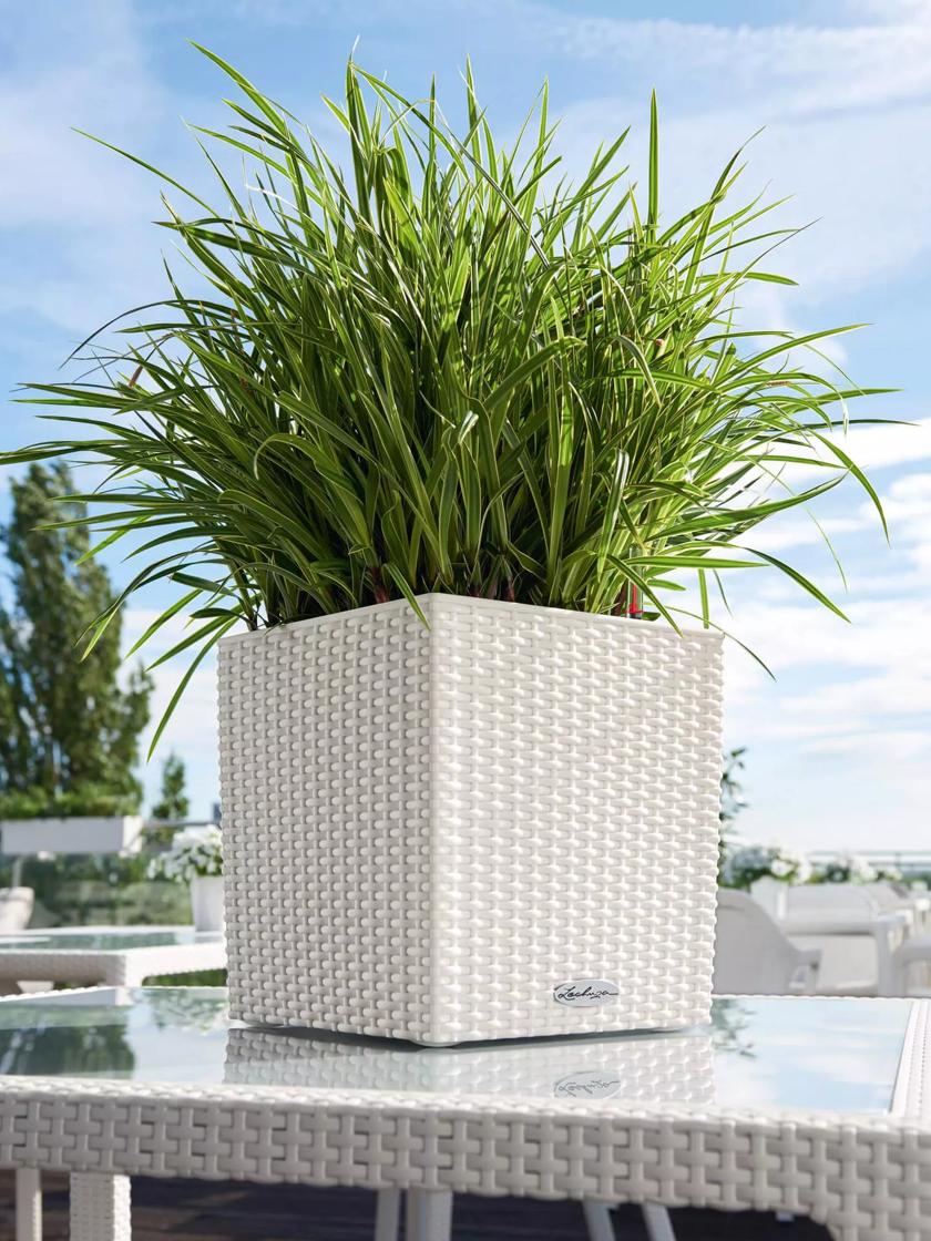 Lechuza® Cube Cottage Wicker Planters