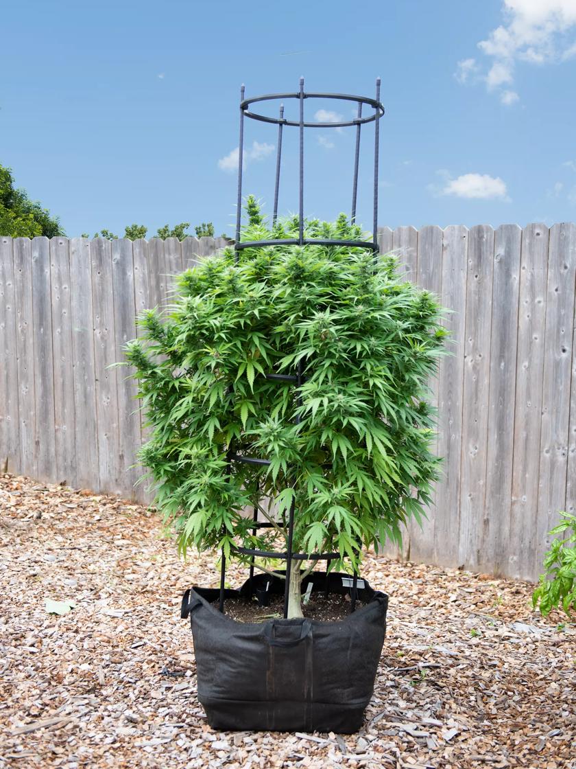 Flower Pot 100 Gallon Grow Bags for Planting Vegetables Handle