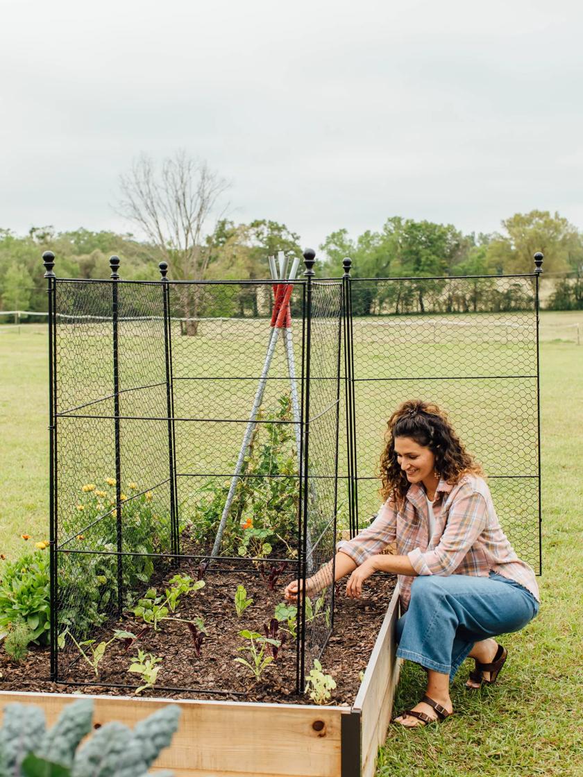 Chicken Wire Mesh Used in Garden as Fence, Raised Bed, Trellis