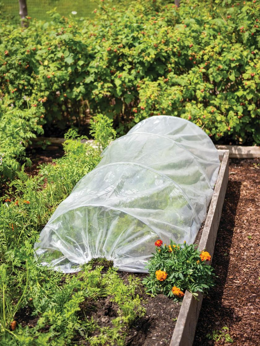 How to Plant Delicious Vegetables in a Grow Bag – Sunnydaze Decor