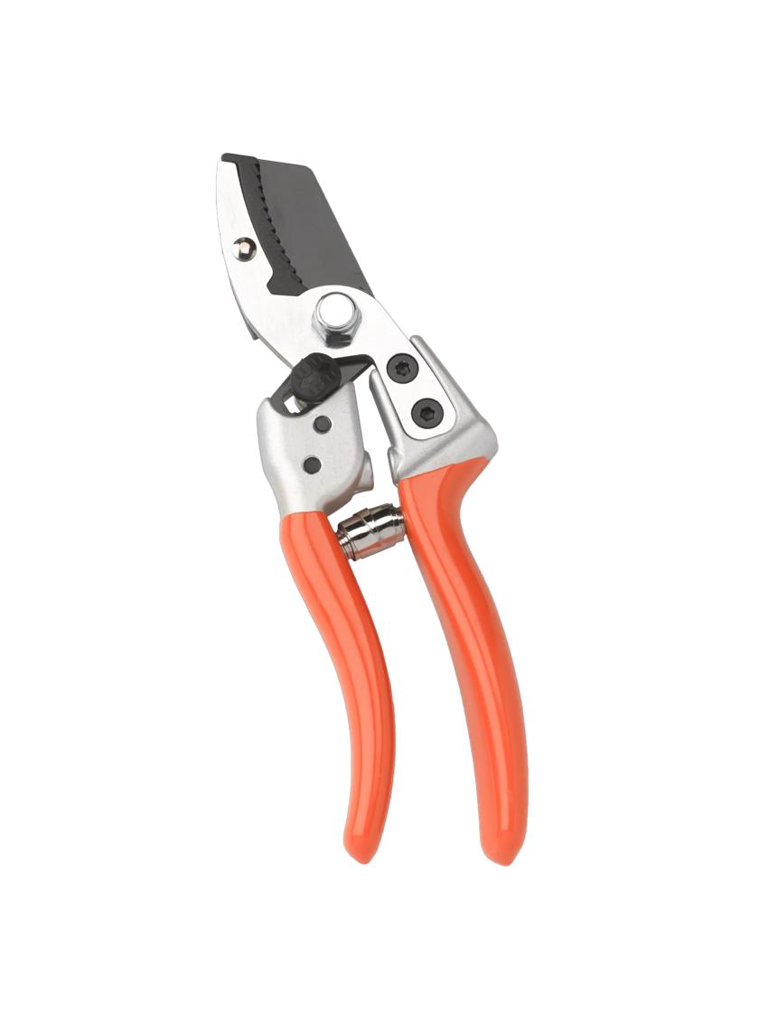 1) Pamper your Pruners