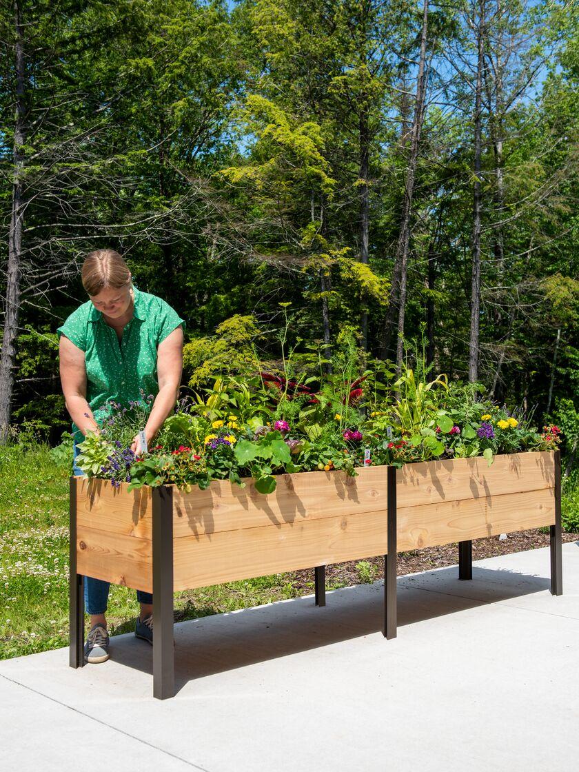 Elevated Cedar Planter Box, 2' x 8'