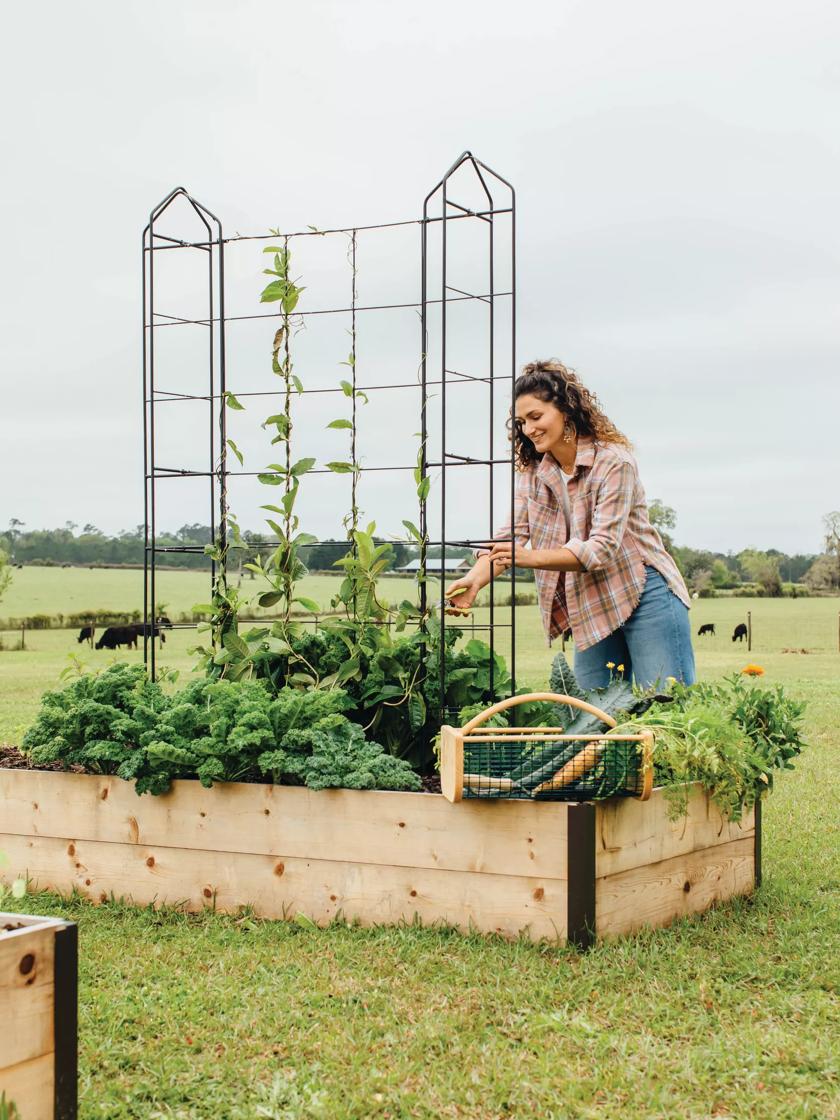 Gardeners Supply Company Large Plant Tray