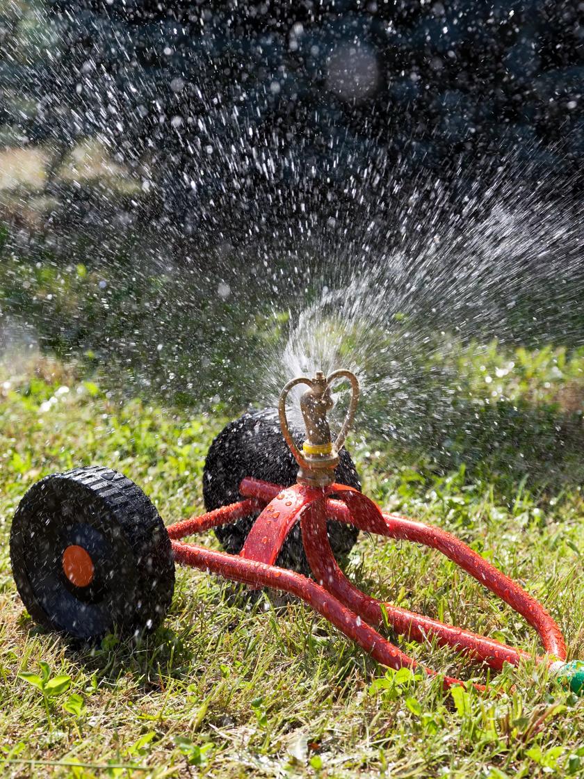 Utility 4 wheel garden hose reel for Gardens & Irrigation