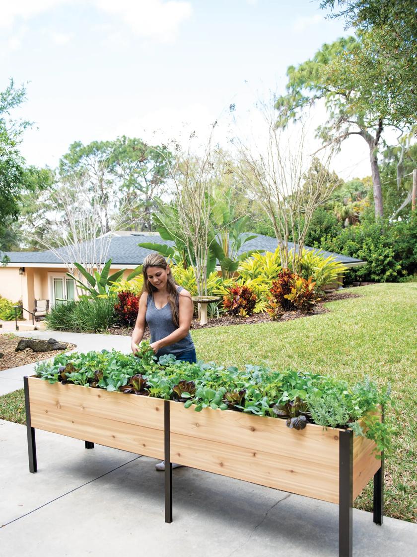 Self-Watering Elevated Cedar Planter Box, 2' x 4