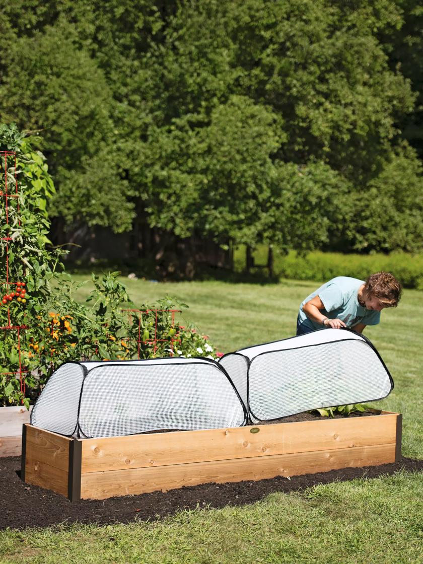 https://assets.gardeners.com/transform/PDP_Main/d4b25f4c-853d-40c6-b574-12218f4df67c/8591990_2195-1_mini-greenhouse-garden-row-covers-tif