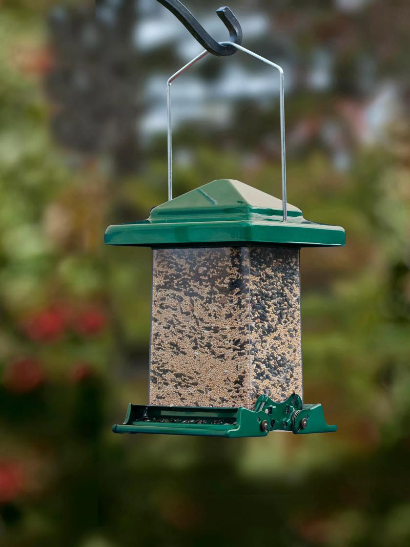 Squirrel Proof Bird Feeder - Easy View | Gardeners.com