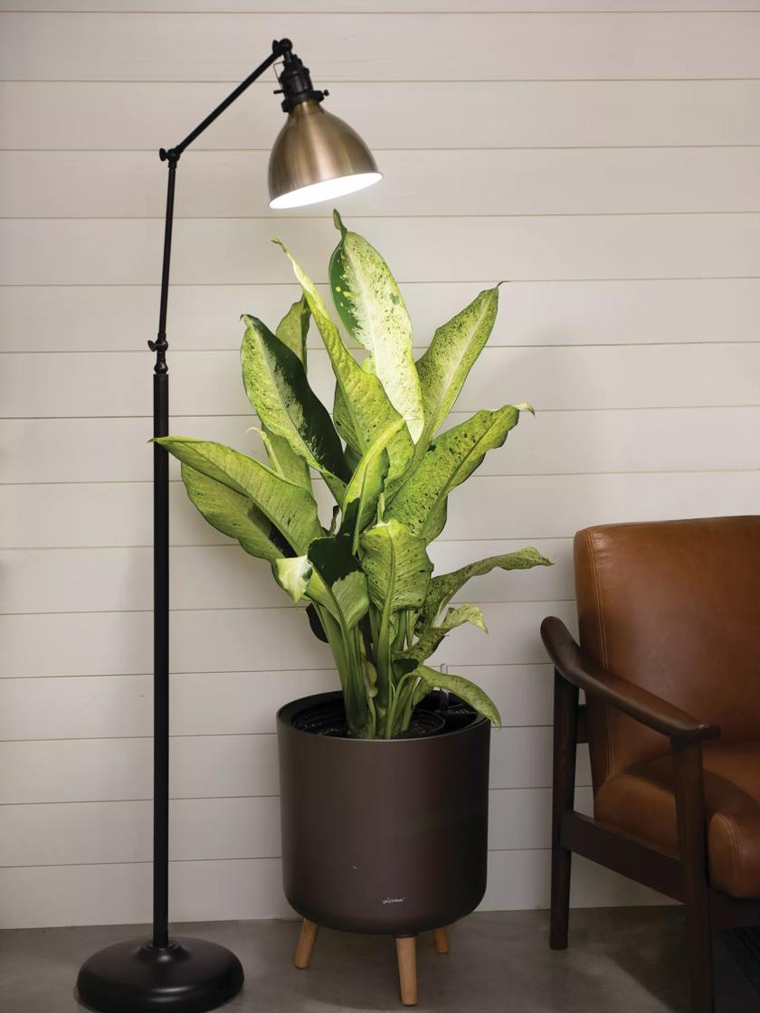 Alden Grow Lamp | Gardener's Supply