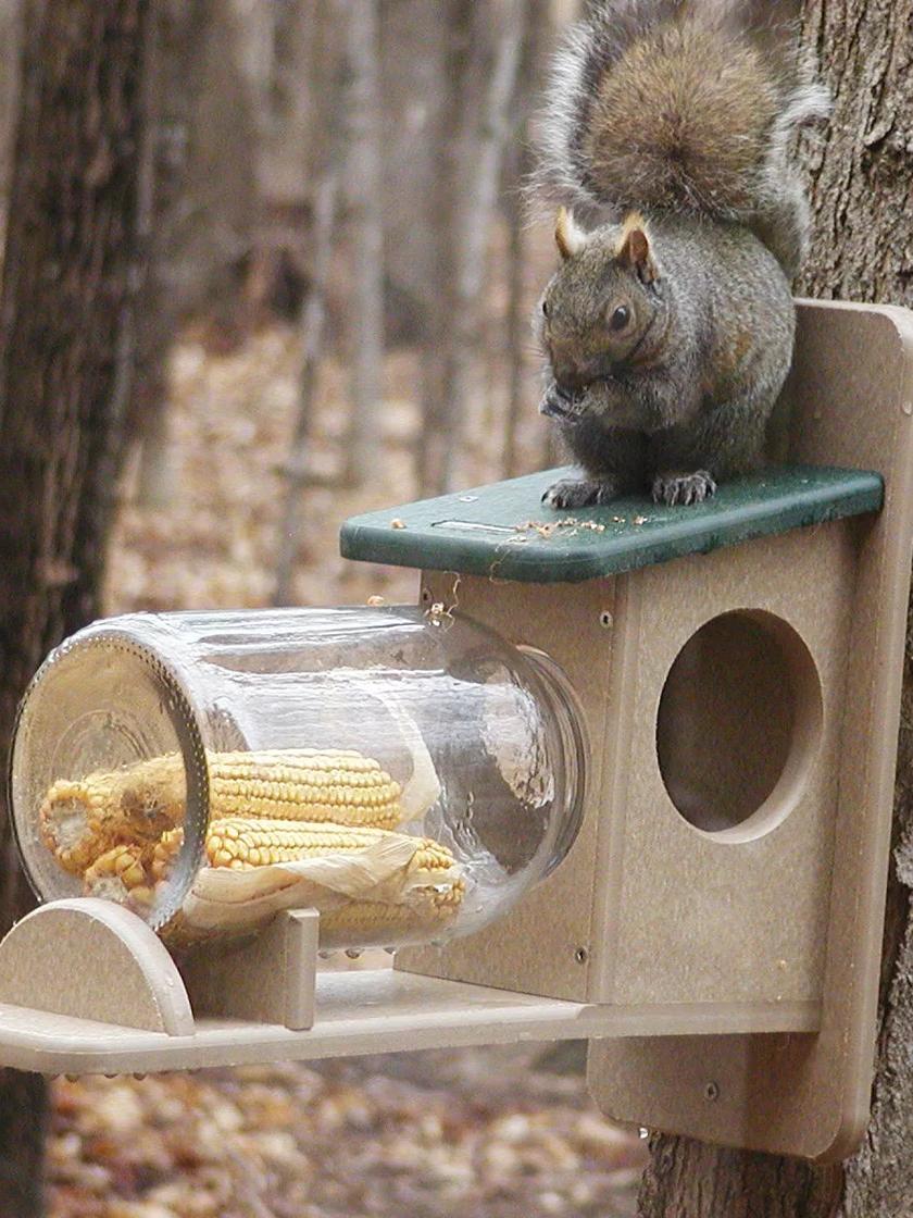 Birds Choice Squirrel Jar Feeder