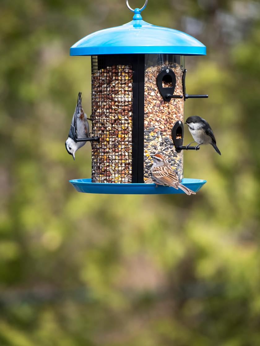 Feather Central Triple Bird Feeder 