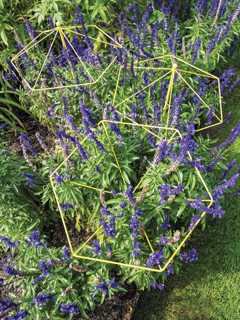 Parasol Plant Supports Set of Gardener's Supply