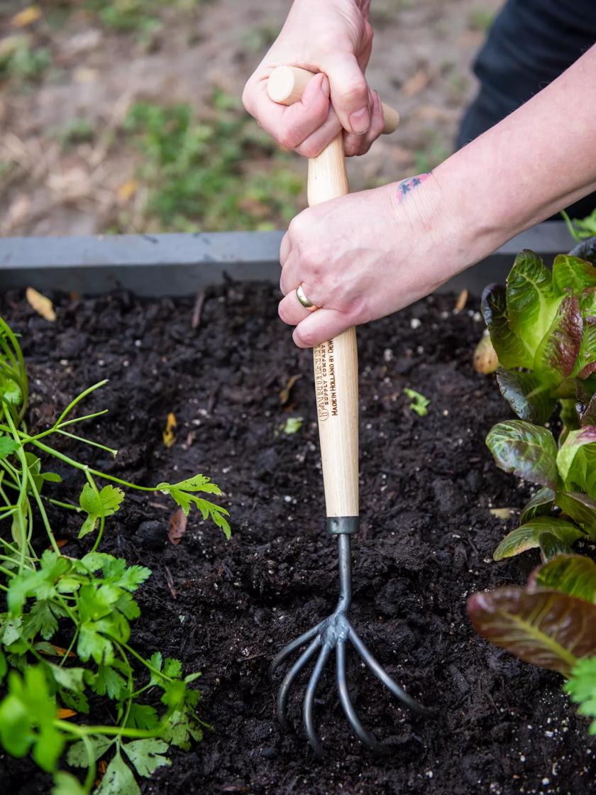 Gardener's Lifetime 5-Tine T-Grip Raised Bed Cultivator