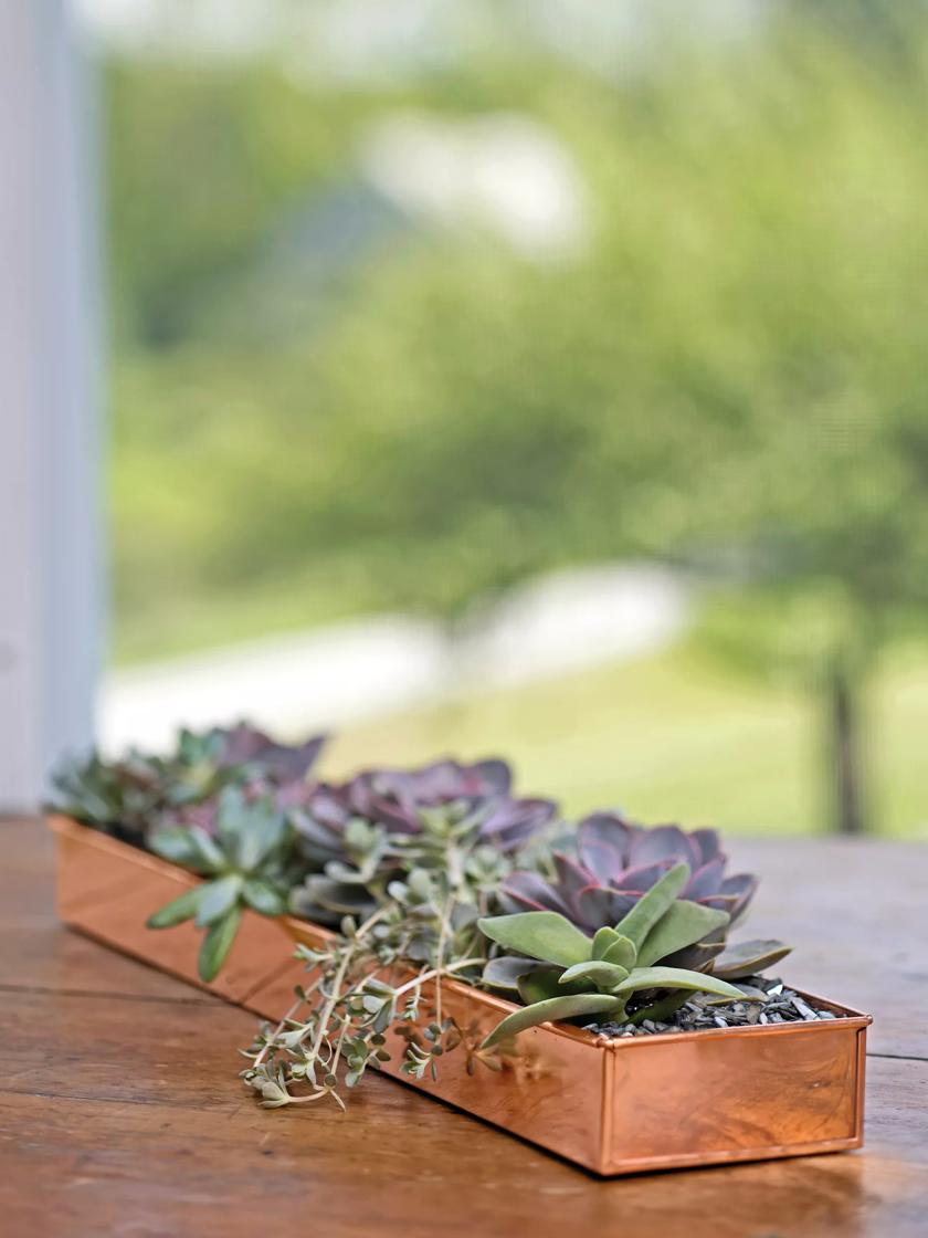 Self-Watering Windowsill Tray, Green