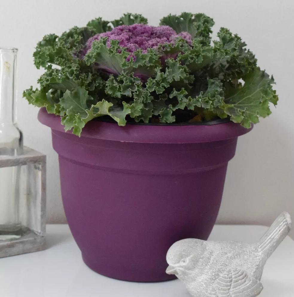 Bloem Ariana Self-Watering Planters