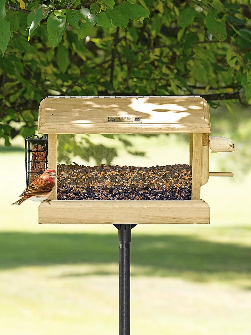 Platform Hopper Hanging Bird Feeder