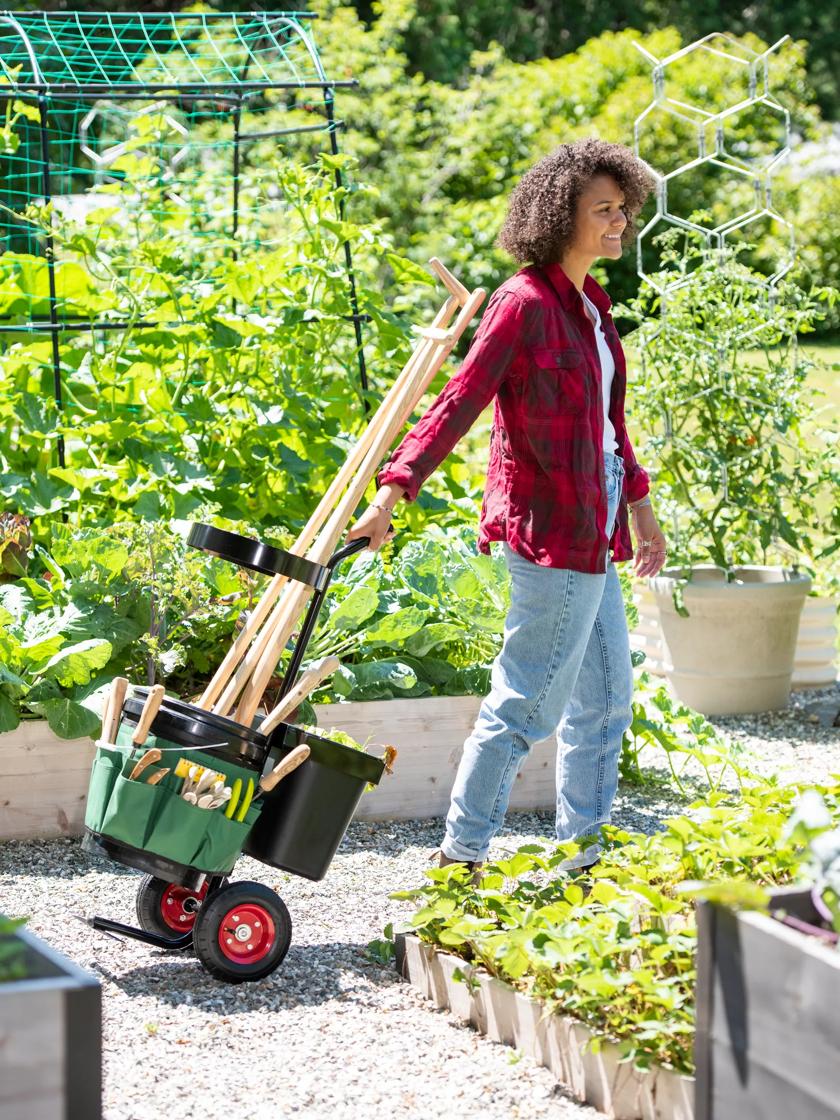 Organized Cleaning And Gardening Caddies