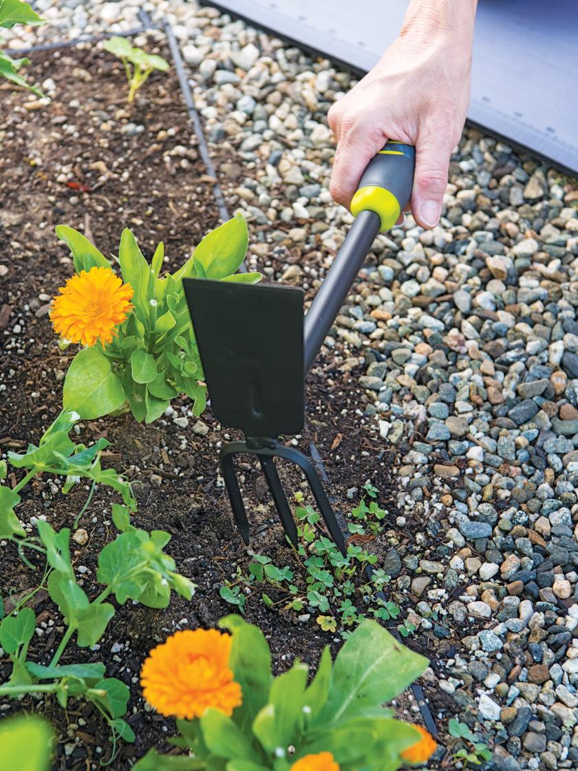 Gardener's 2-in-1 Short Handle Hoe Cultivator | Gardeners.com