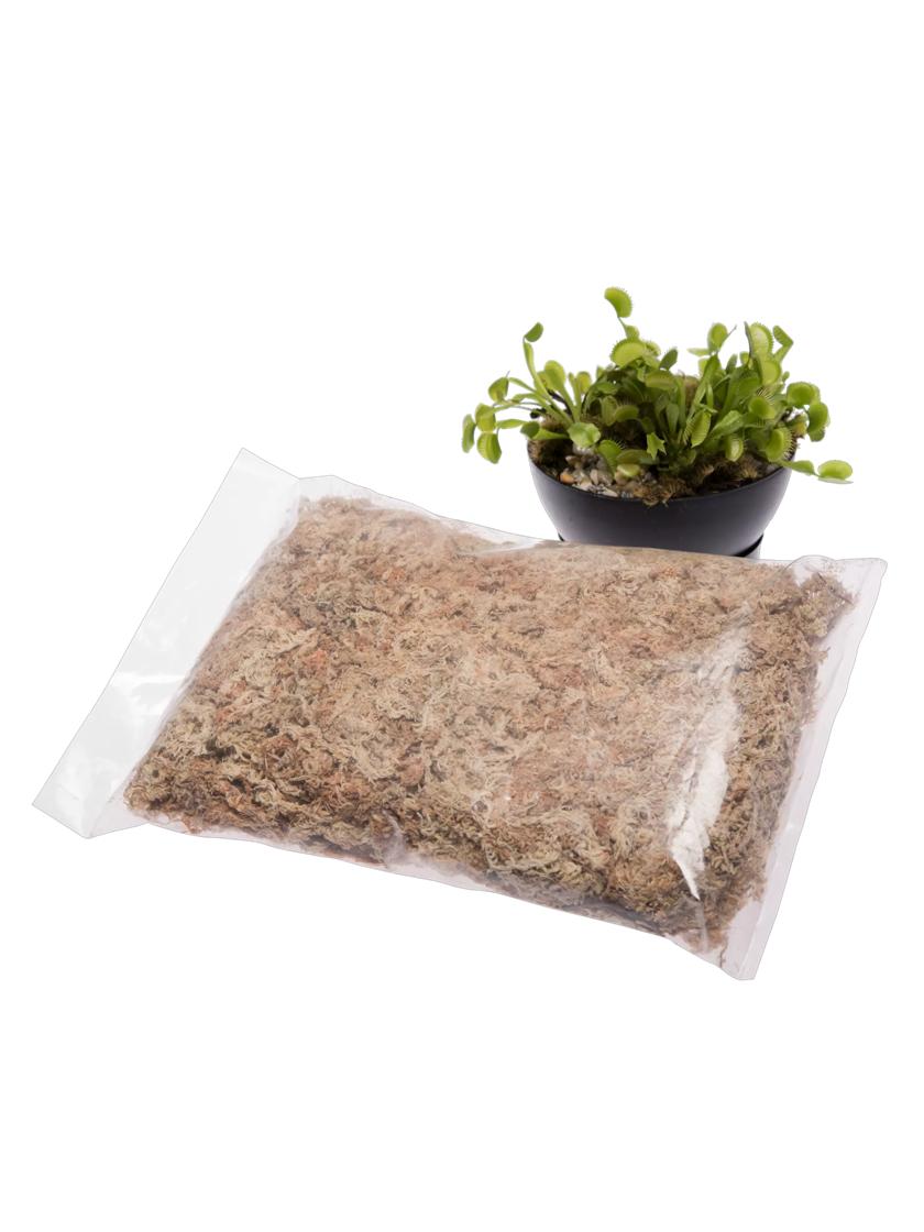 Sphagnum Moss - Orchid Moss - New Zeland Sphagnum Moss for Sale