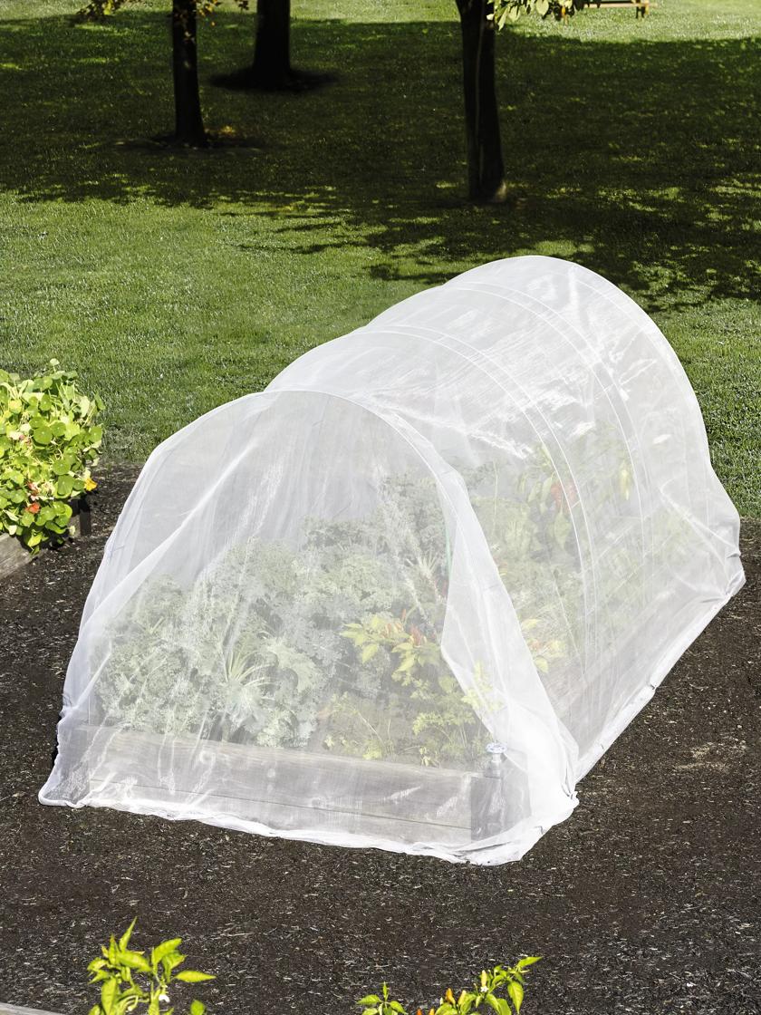 Insect Netting: the Ultimate Guide to Greenhouse Insect Net