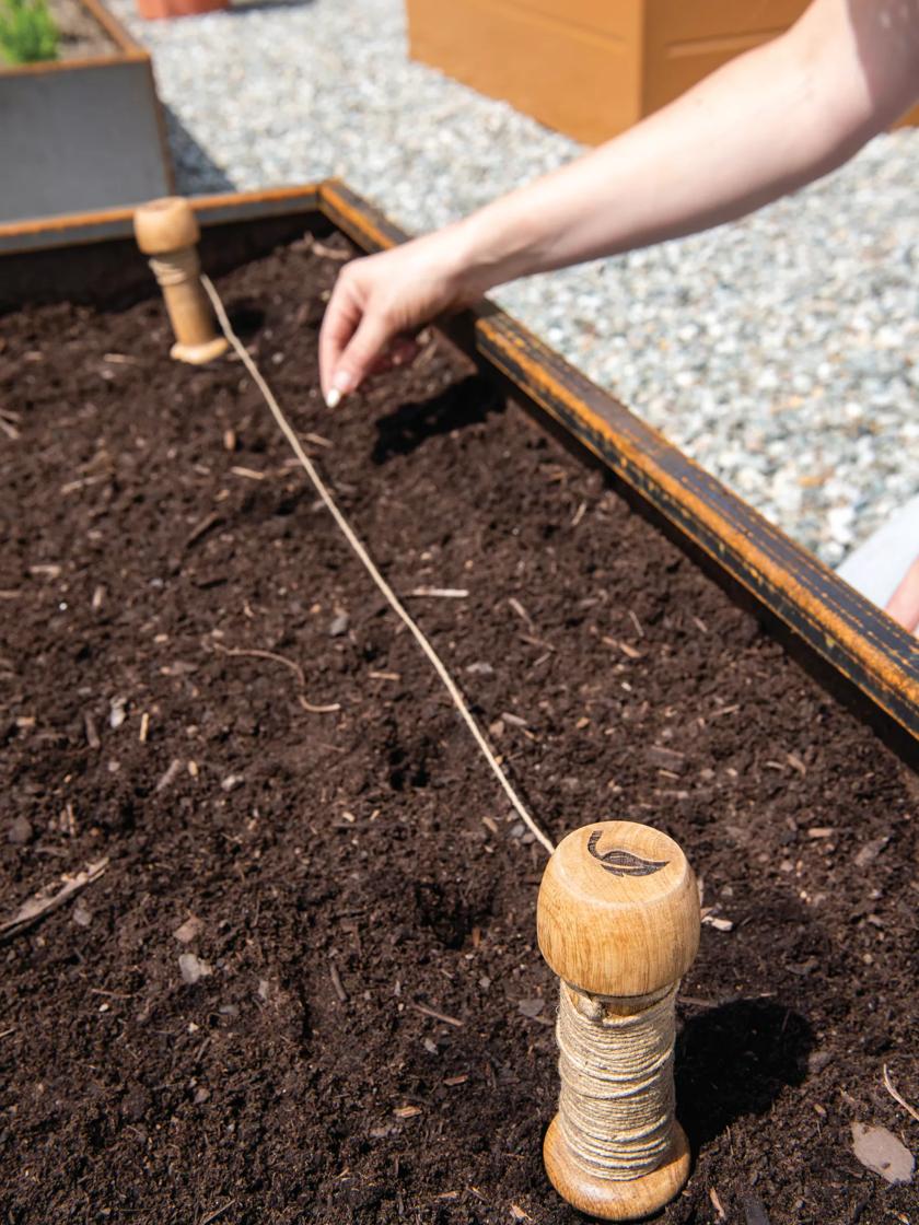 Intervale Garden Row Marking Twine and Pegs, Gardeners.com