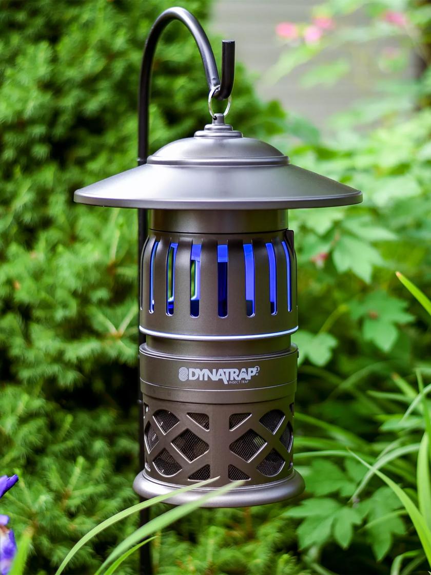 Elevating Pest Control: The Power of Insect Light Traps