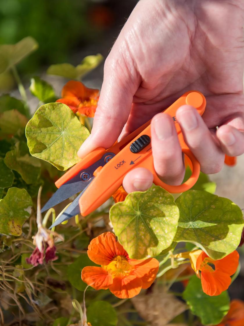 Pocket Snips - Orange - Herb Tools | Gardener's Supply Company