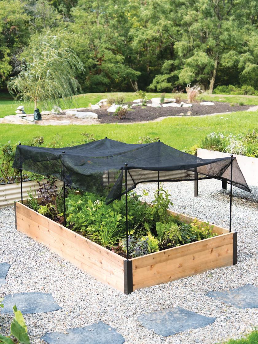 3 Ways To Use SHADE CLOTH To Protect Plants From Heat And Sun